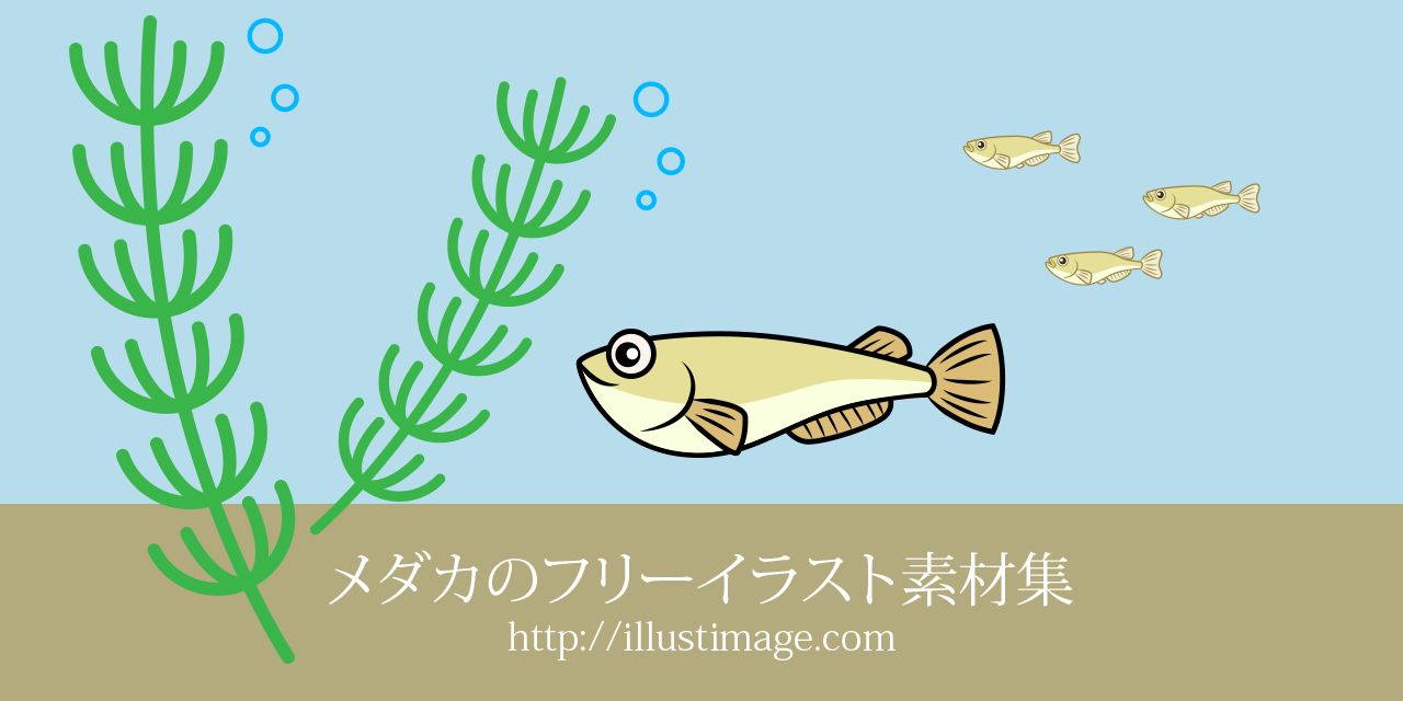 メダカのフリーイラスト素材集