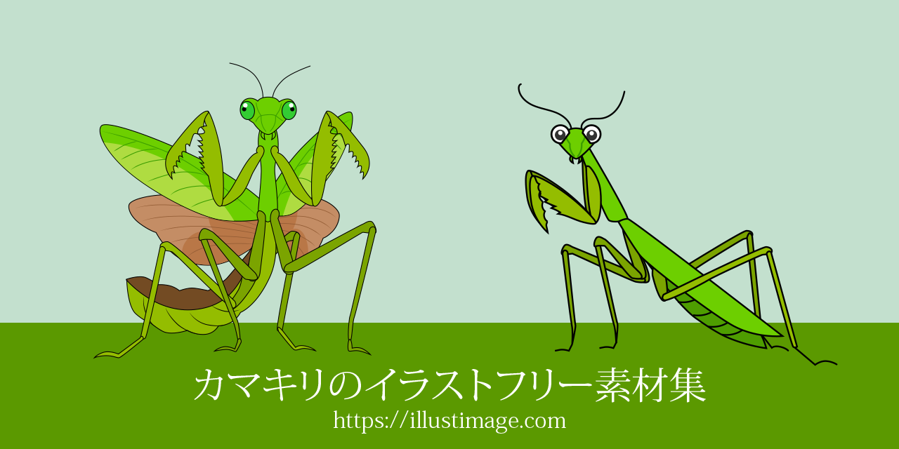 カマキリのイラストフリー素材集