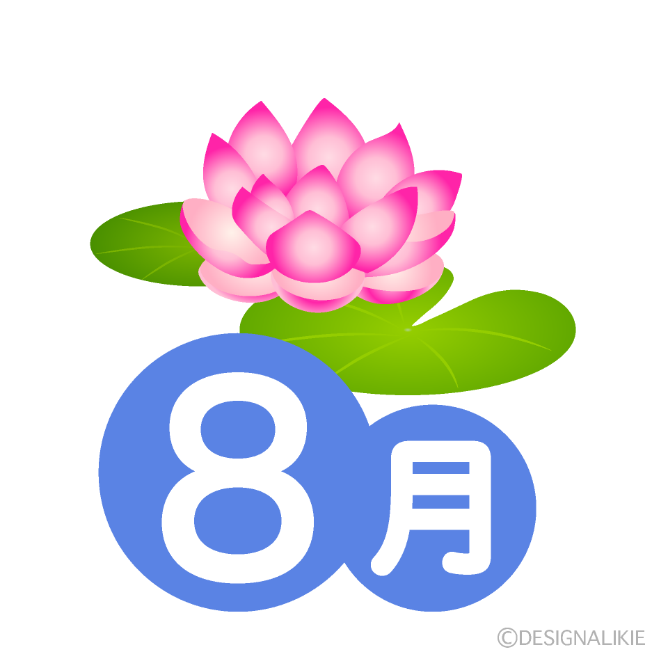 睡蓮の8月