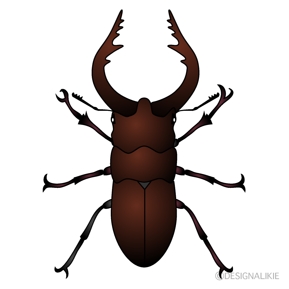 ノコギリクワガタ
