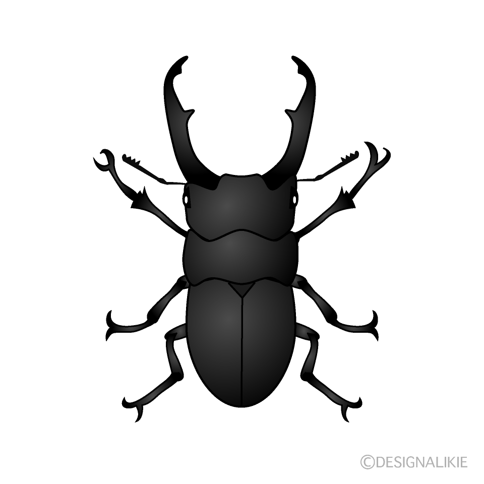コクワガタ