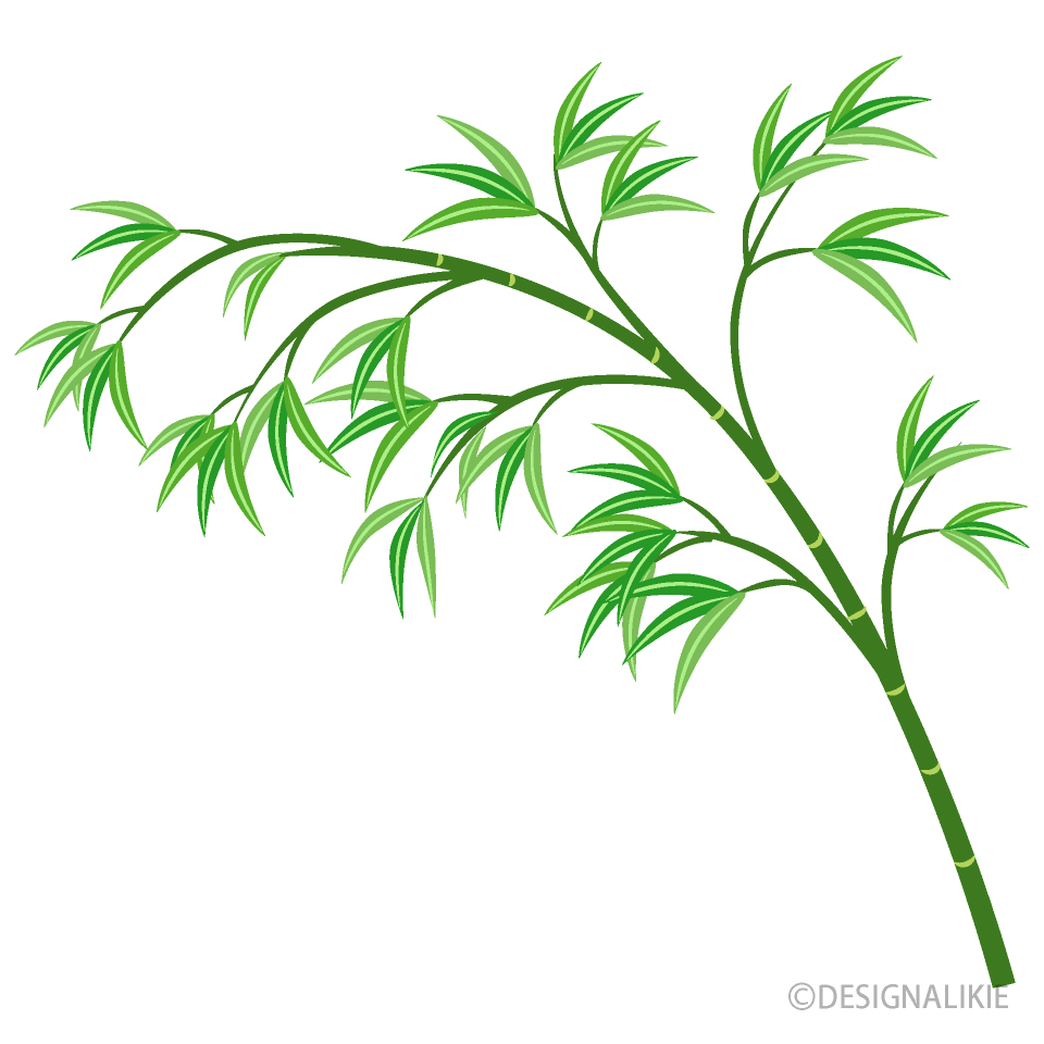 垂れた竹の笹
