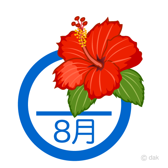 ハイビスカスの8月