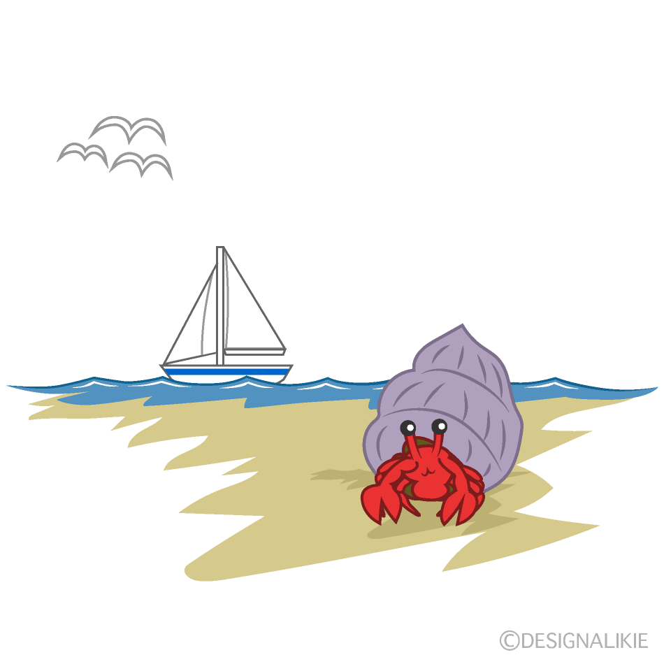 海辺のヤドカリ