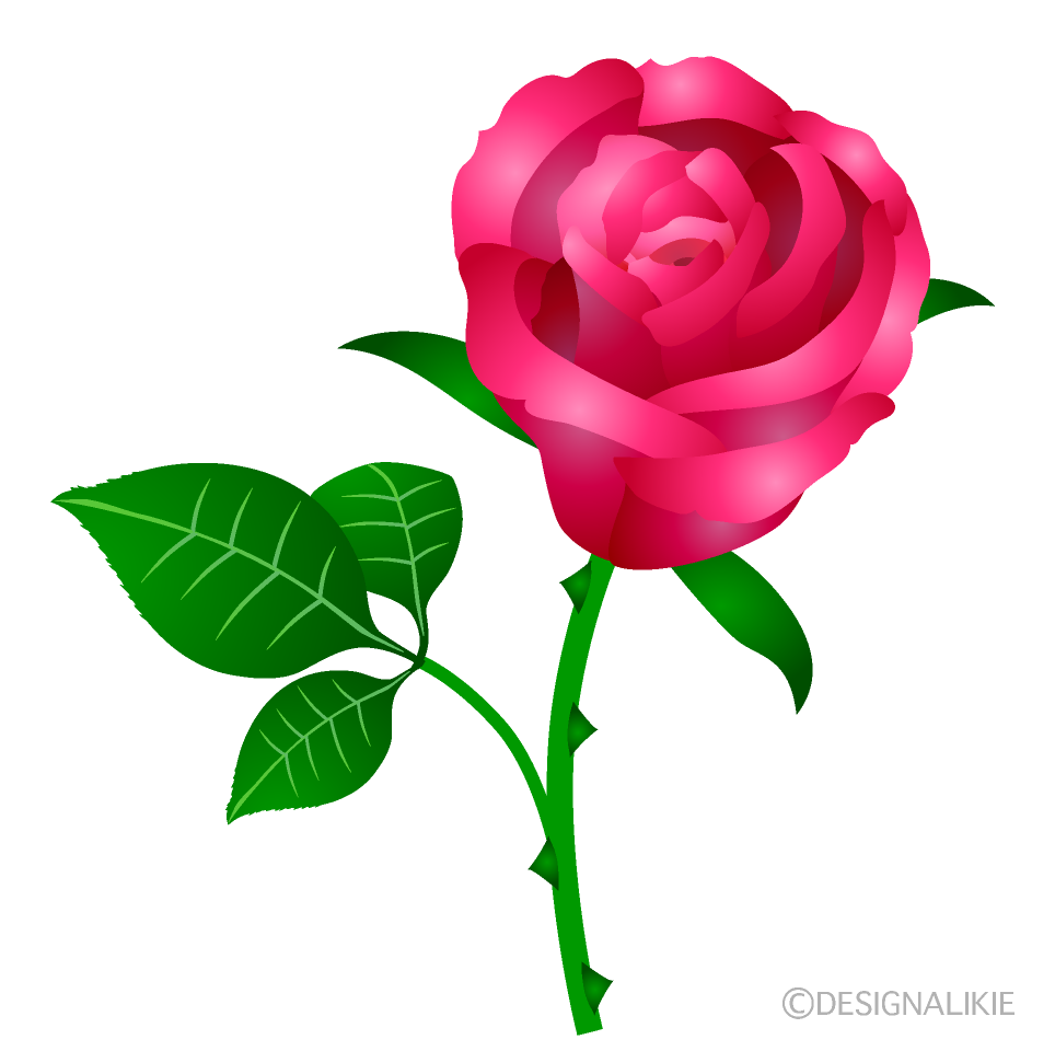 薔薇