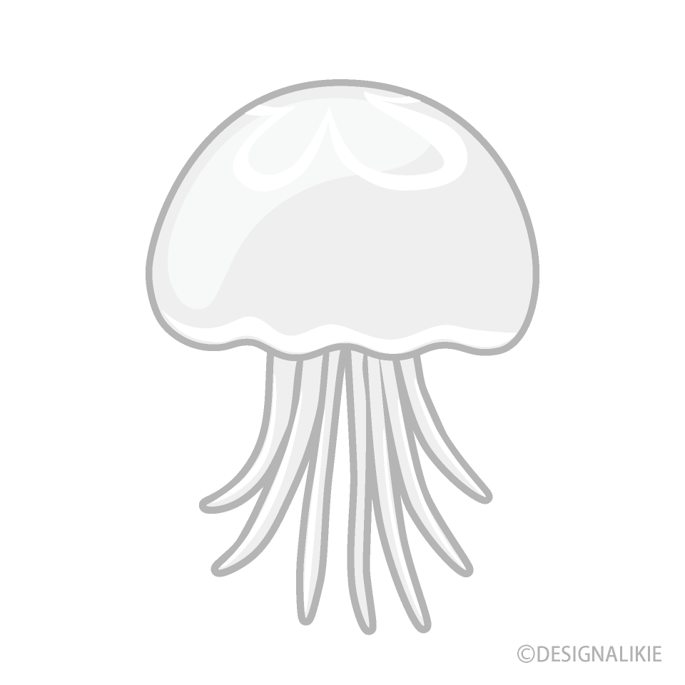 白いクラゲ