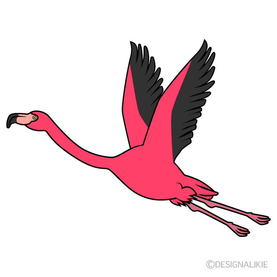 飛ぶフラミンゴ