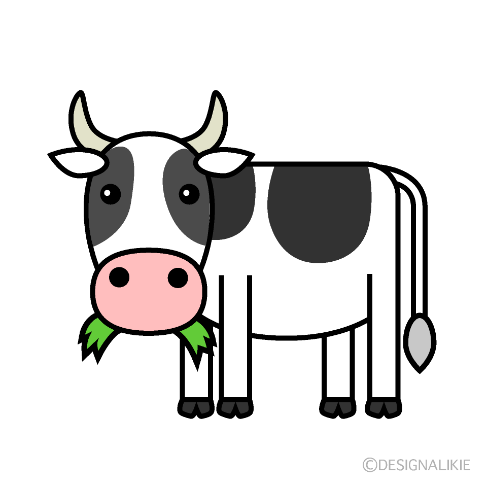 草を食べる可愛い牛