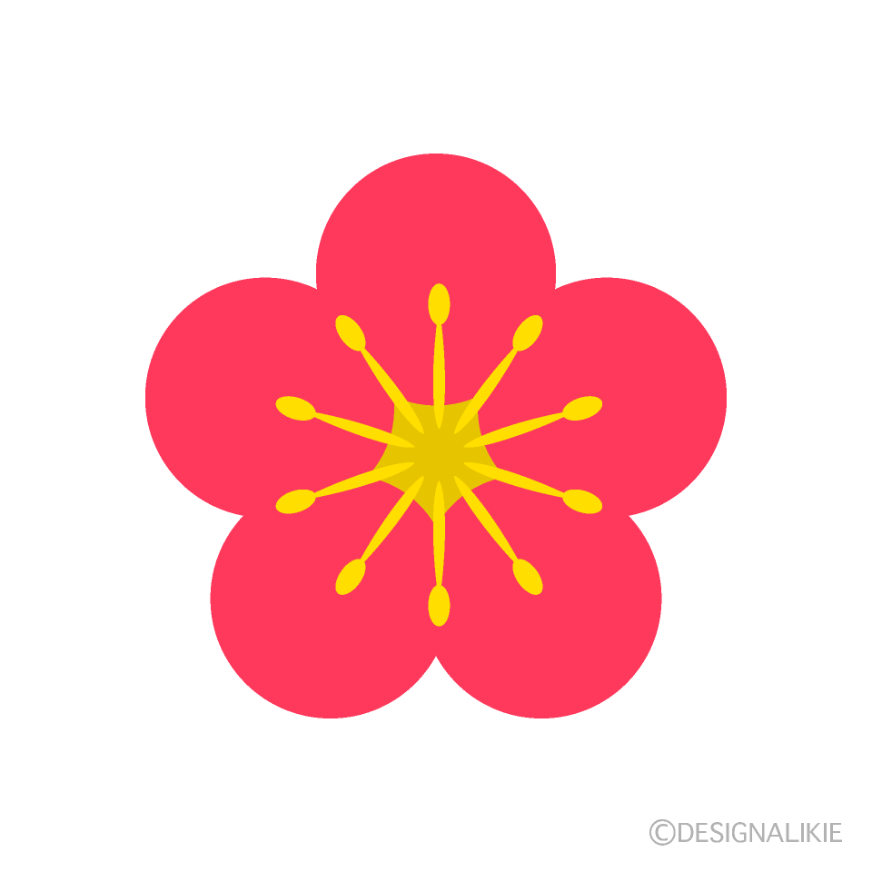 シンプルな梅の花