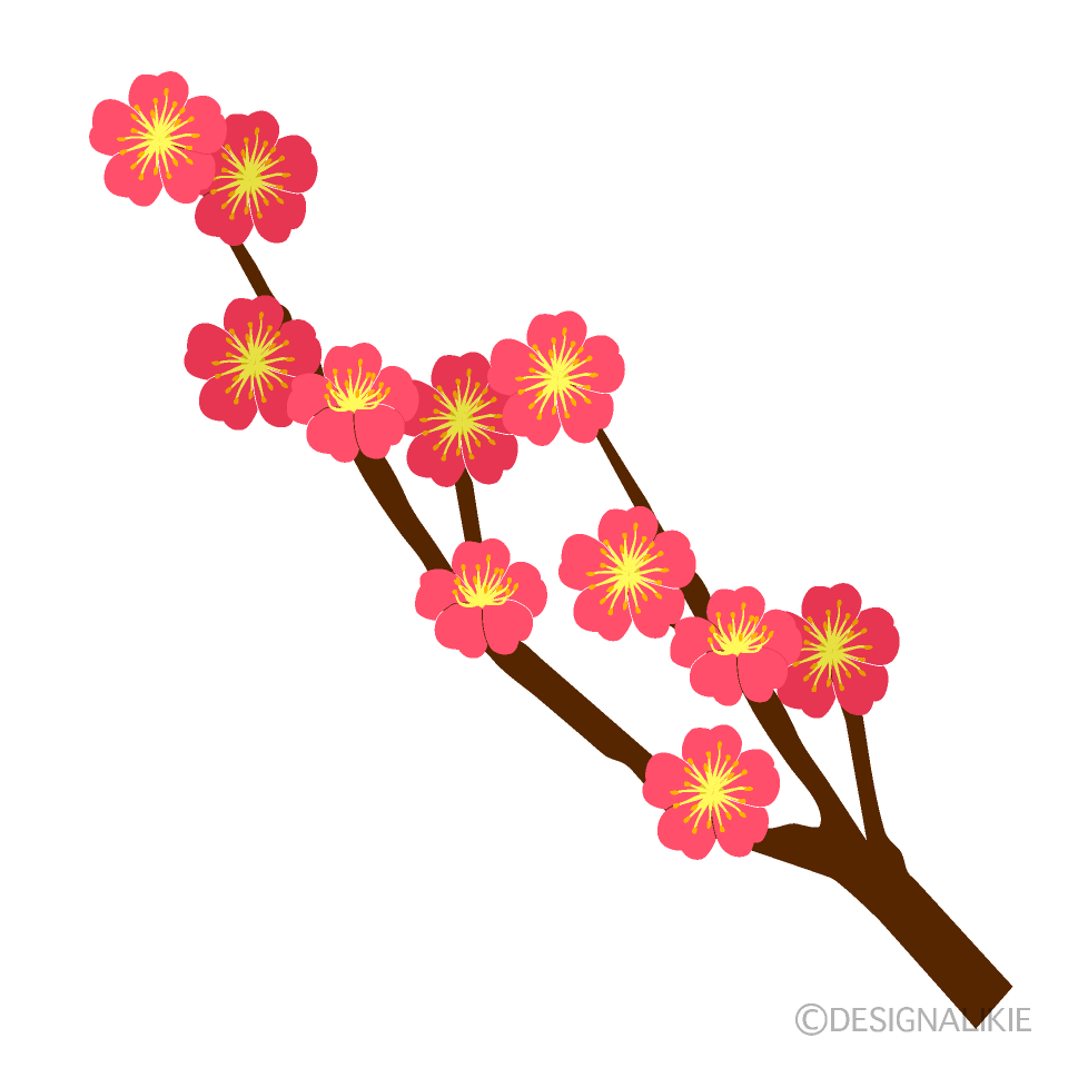 梅の枝の花