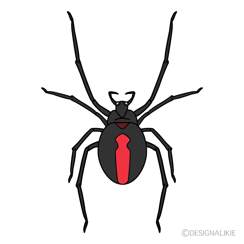 セアカゴケグモ