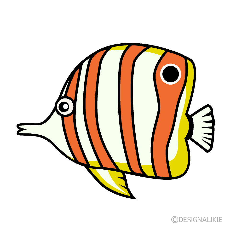 熱帯魚のエンゼルフィッシュ