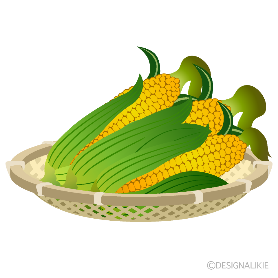 竹ザルのトウモロコシ