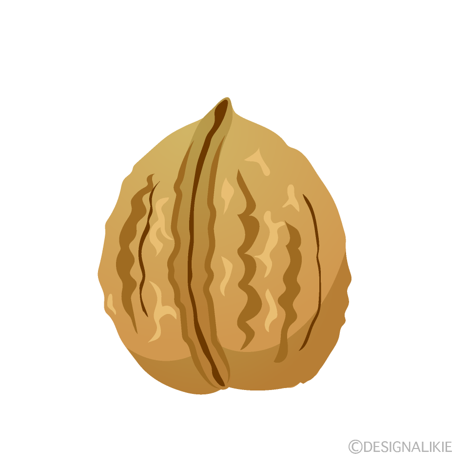 クルミ