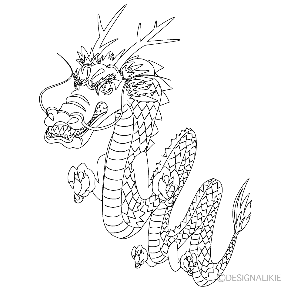 白黒の龍