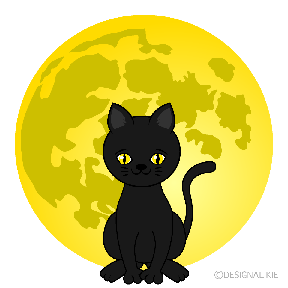 満月の黒猫
