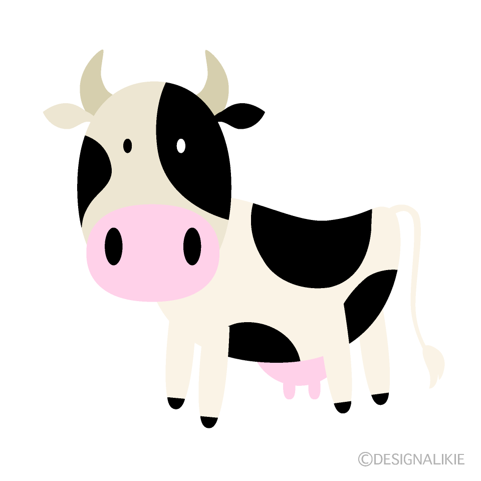 かわいい乳牛
