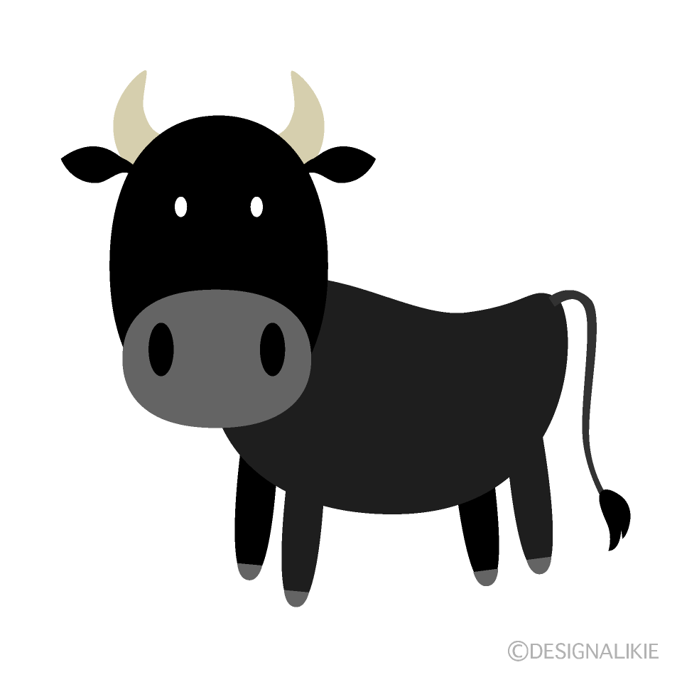 かわいい黒牛