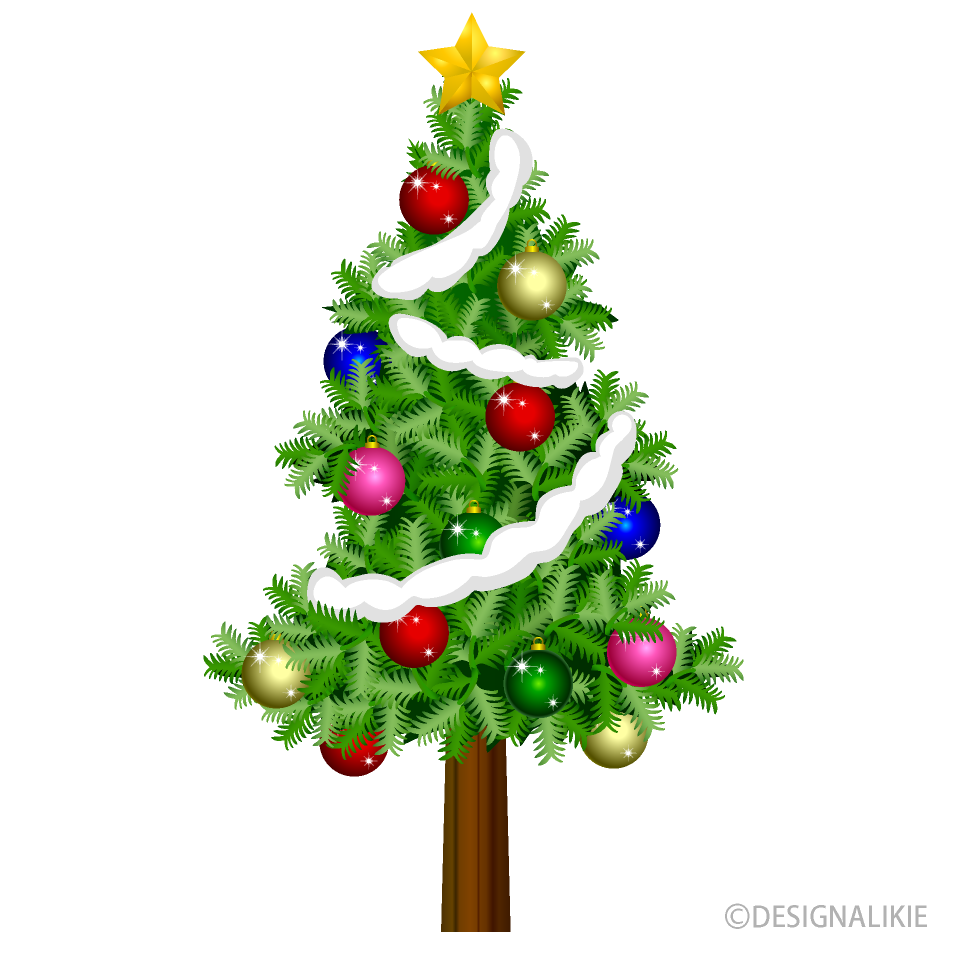 クリスマスツリーのモミの木