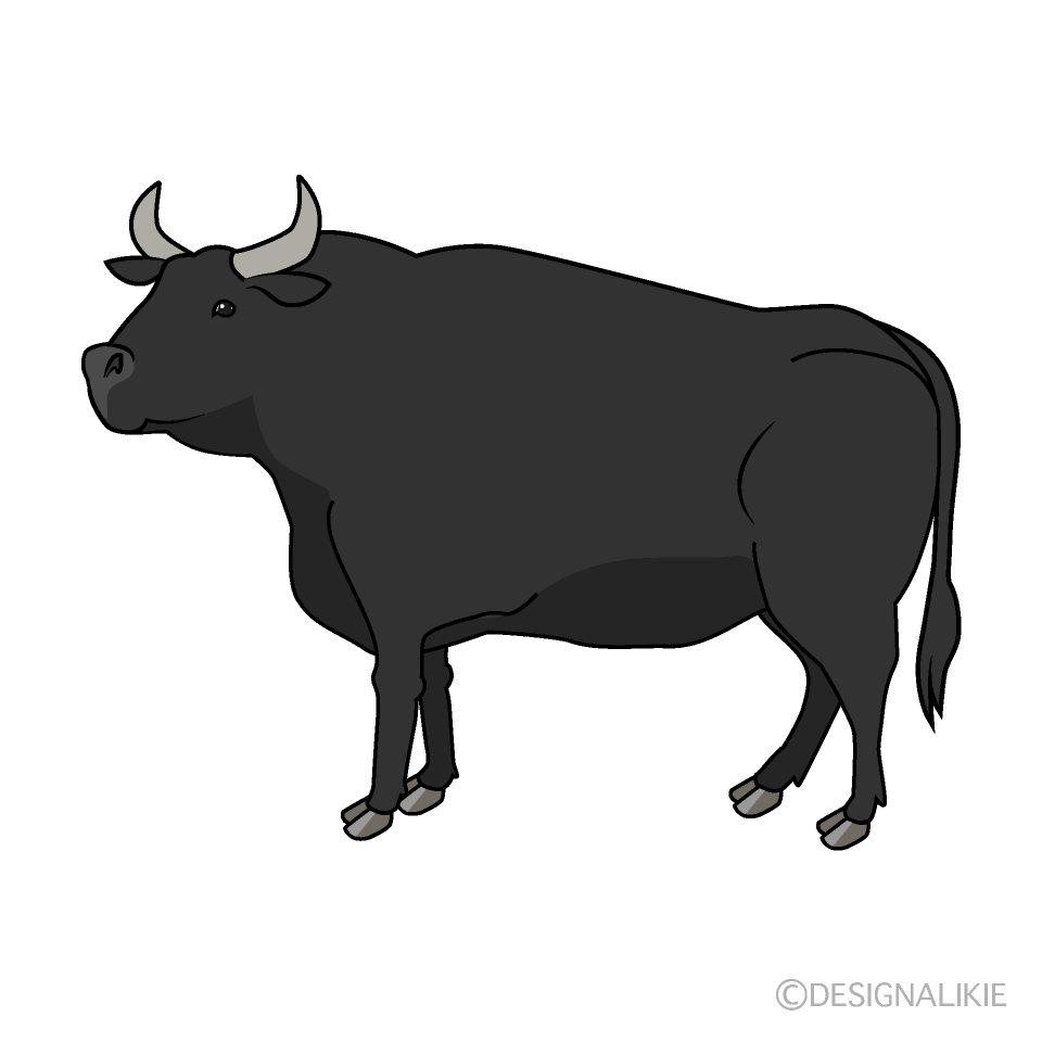 横から見た闘牛