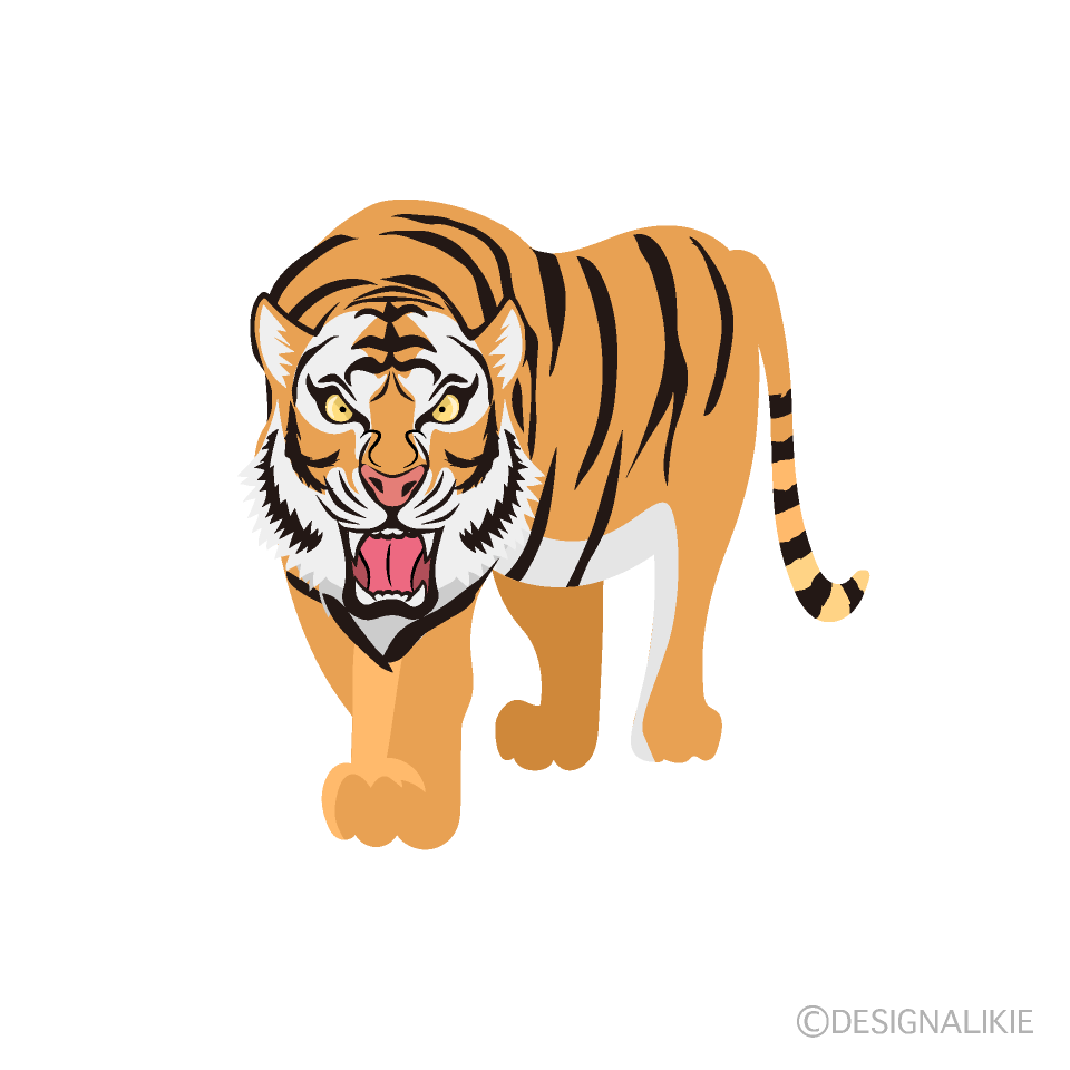 怒る虎