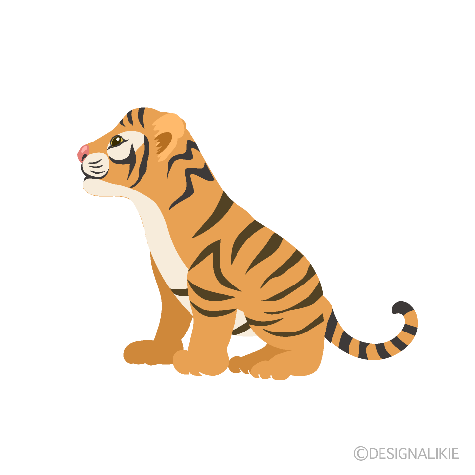 横から見た小虎