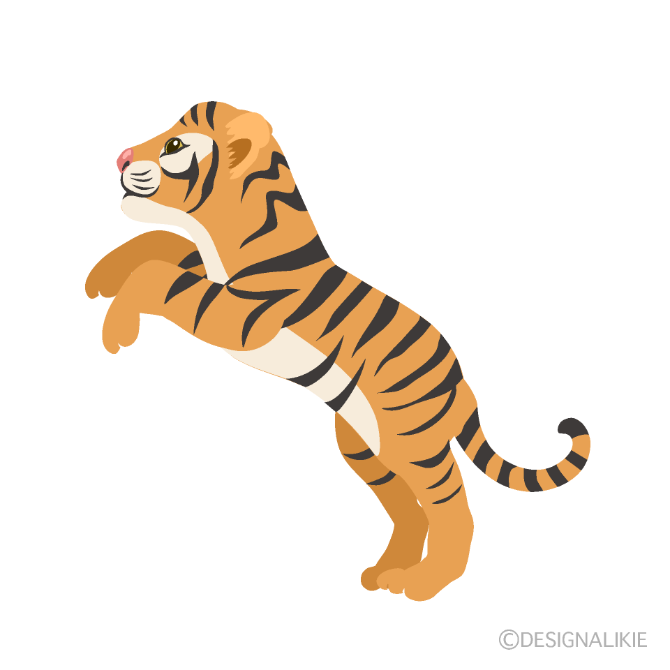 ジャンプする小虎