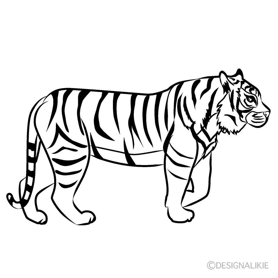 歩く虎線画
