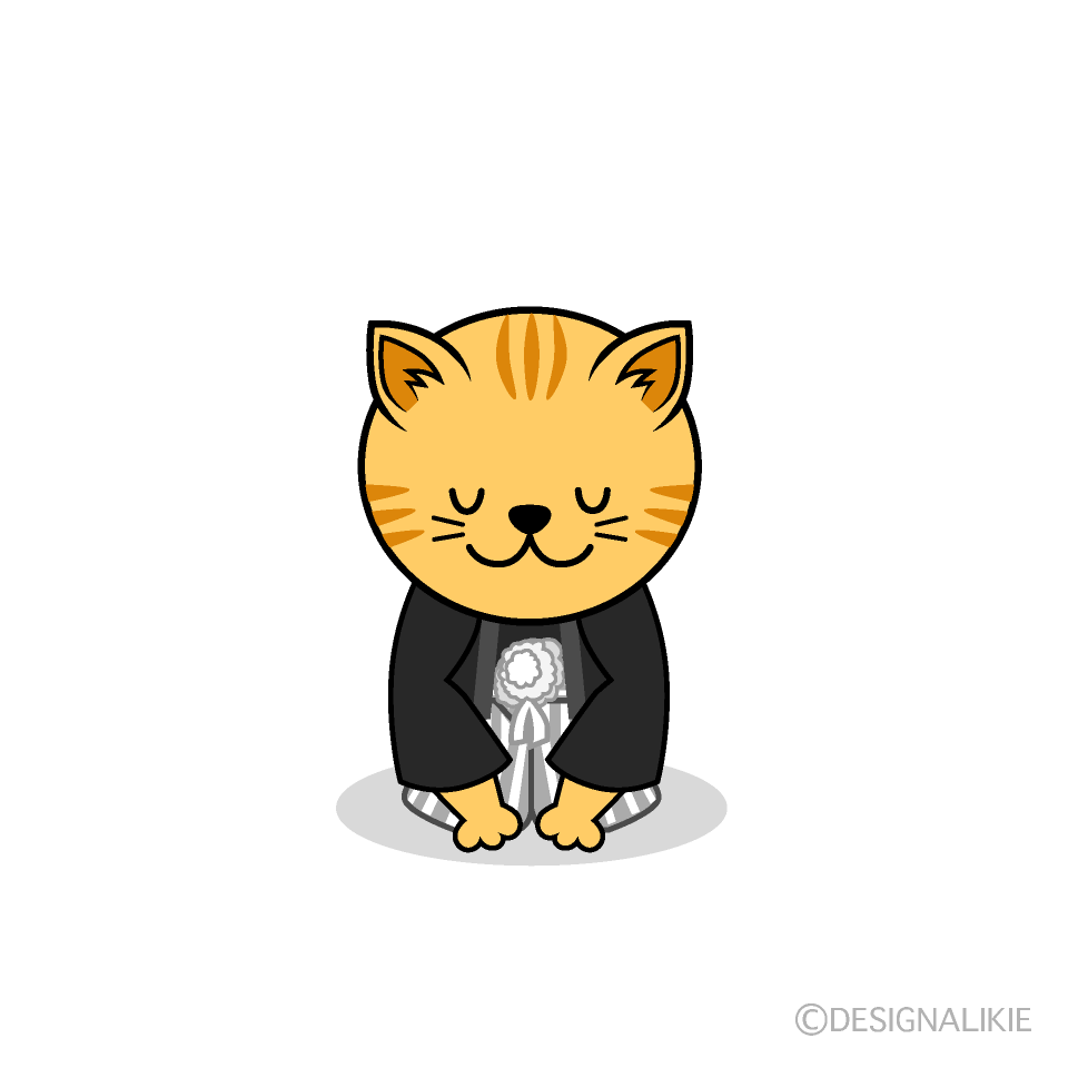 新年挨拶のトラ猫