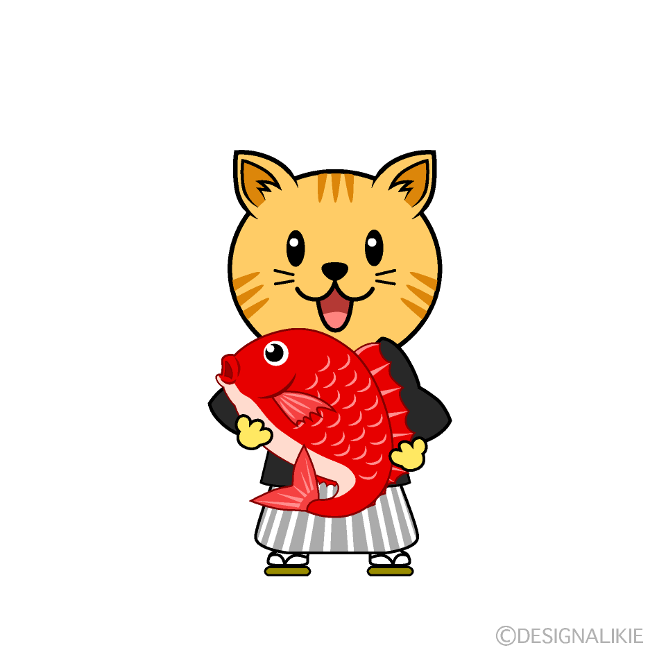 めで鯛トラ猫