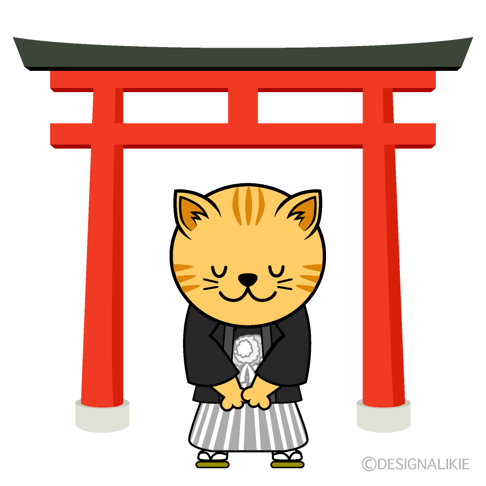 初詣のトラ猫