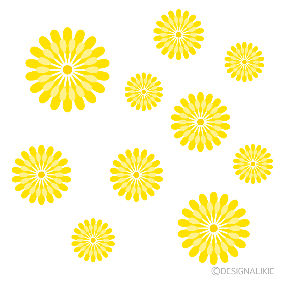 たくさんのかわいいタンポポ花