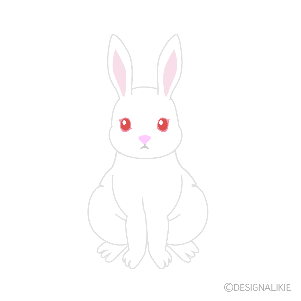 白兎