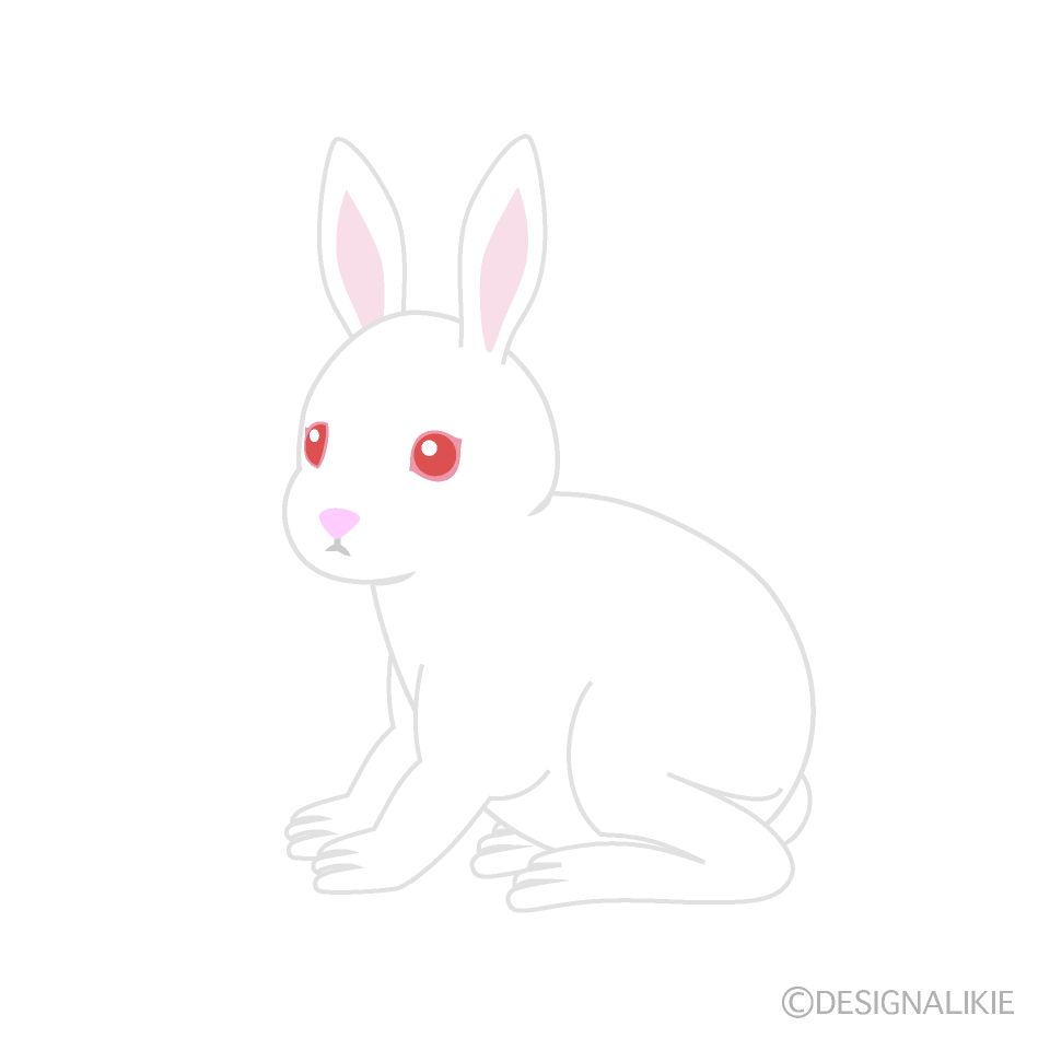 座る白兎