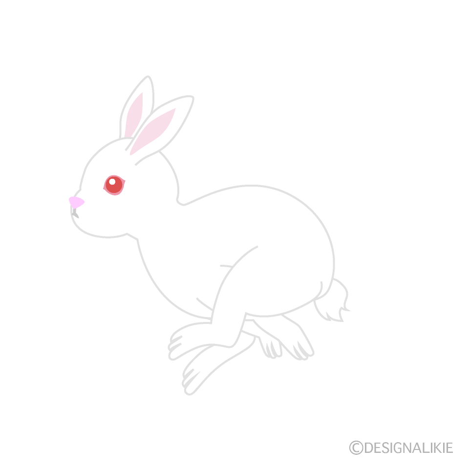 走る白兎