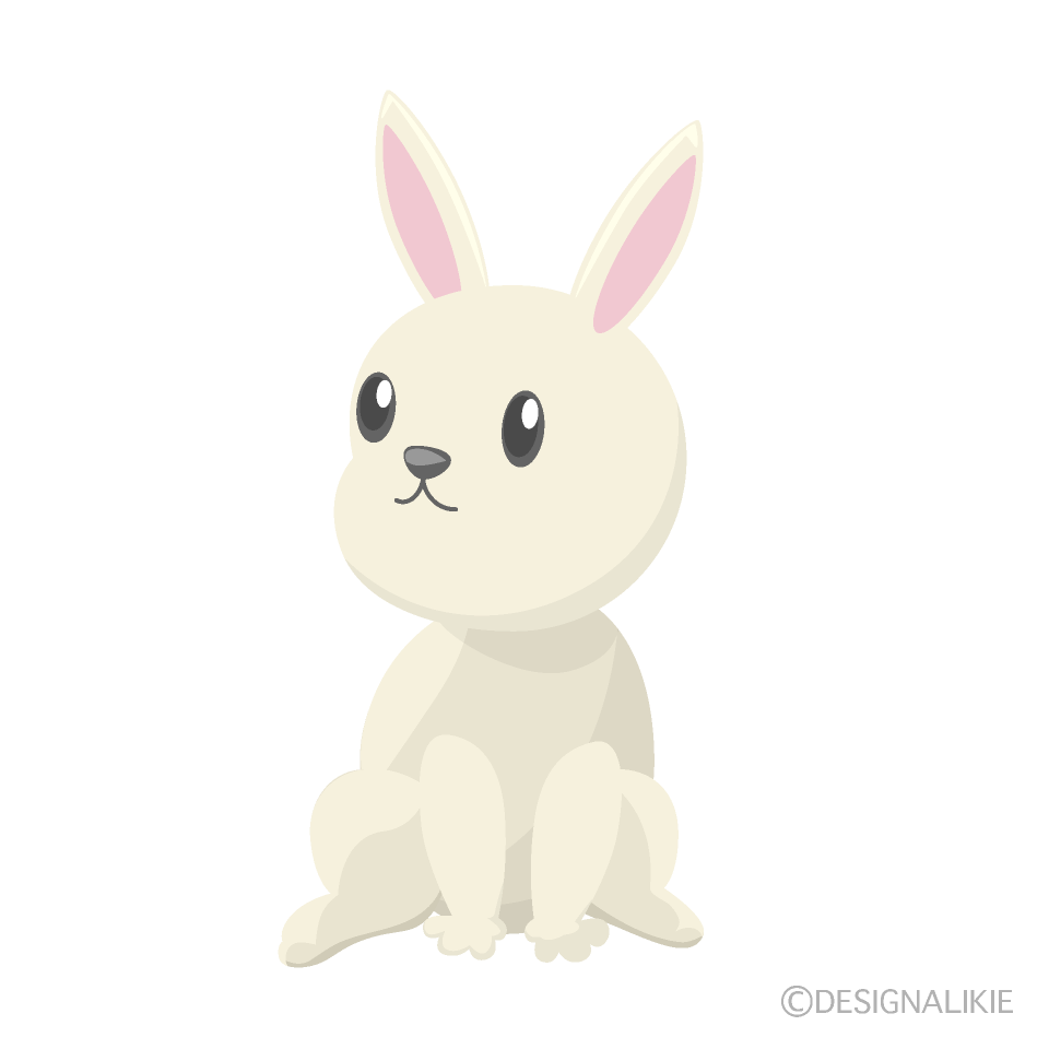 かわいいウサギ