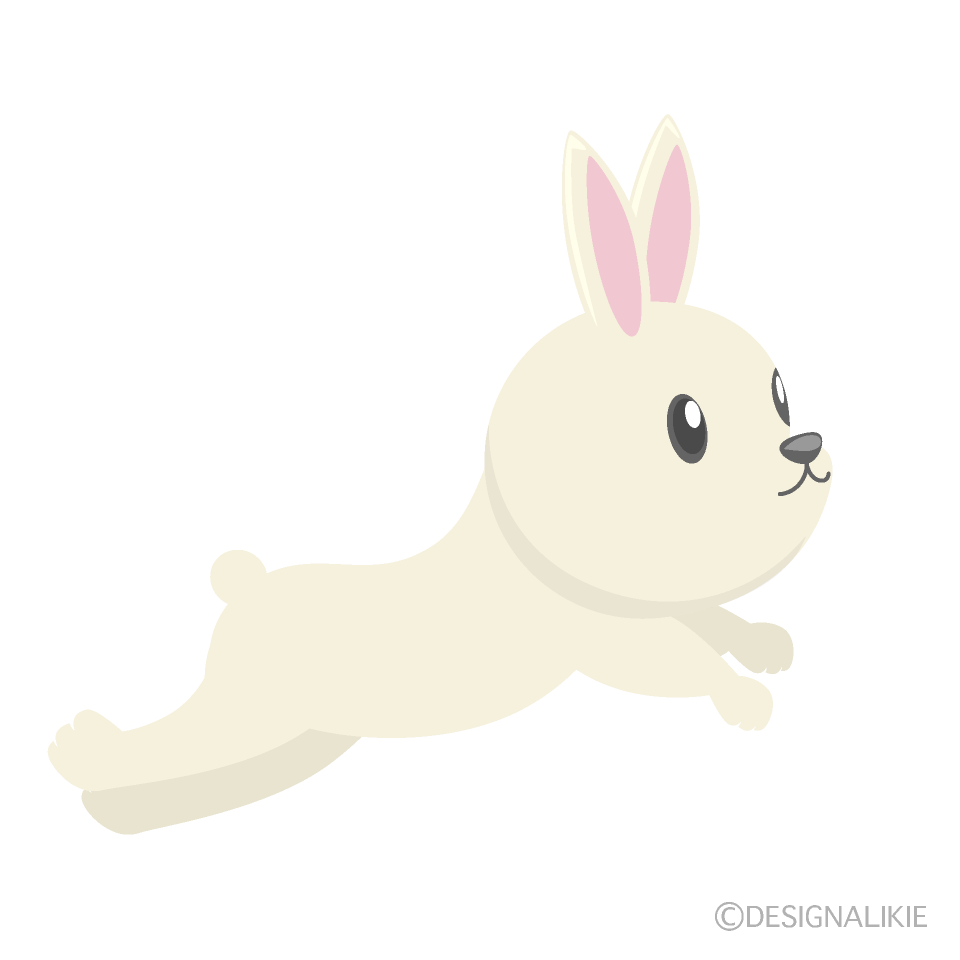 跳ねるかわいいウサギ