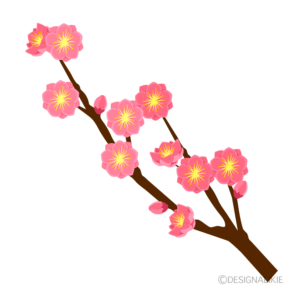 桃の花の開花