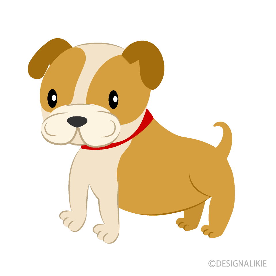 ブルドックの子犬