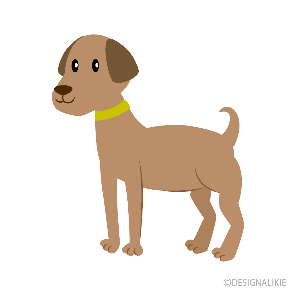 大型犬