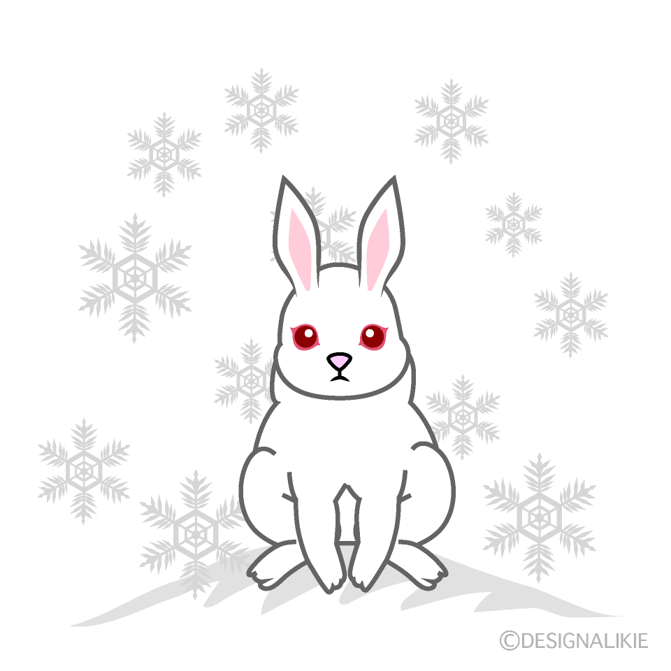 雪の白うさぎ