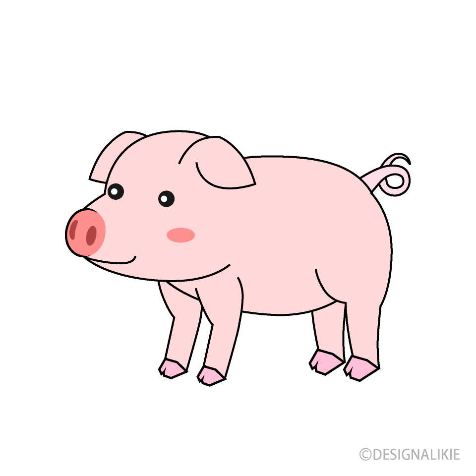 横から見たブタ