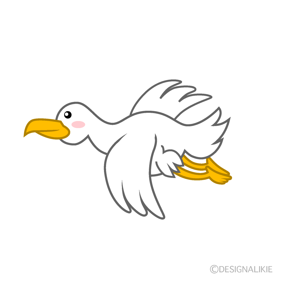 空飛ぶアホウドリ