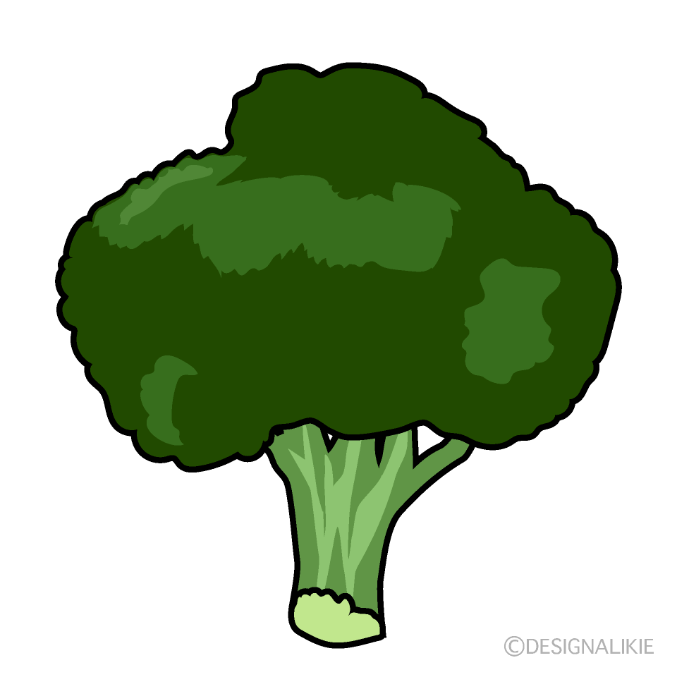 ブロッコリー（線画）