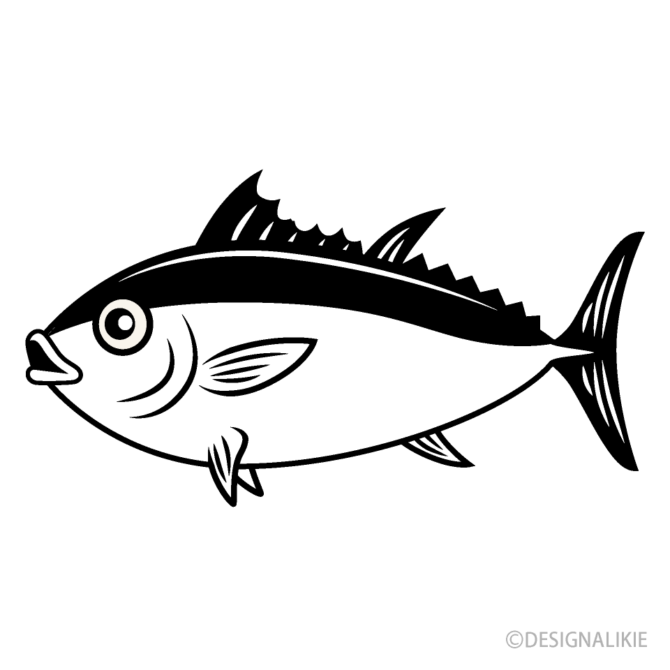 白黒のマグロ