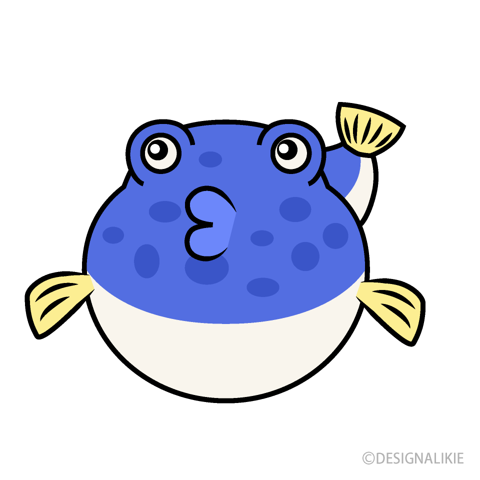 青いフグ（正面）