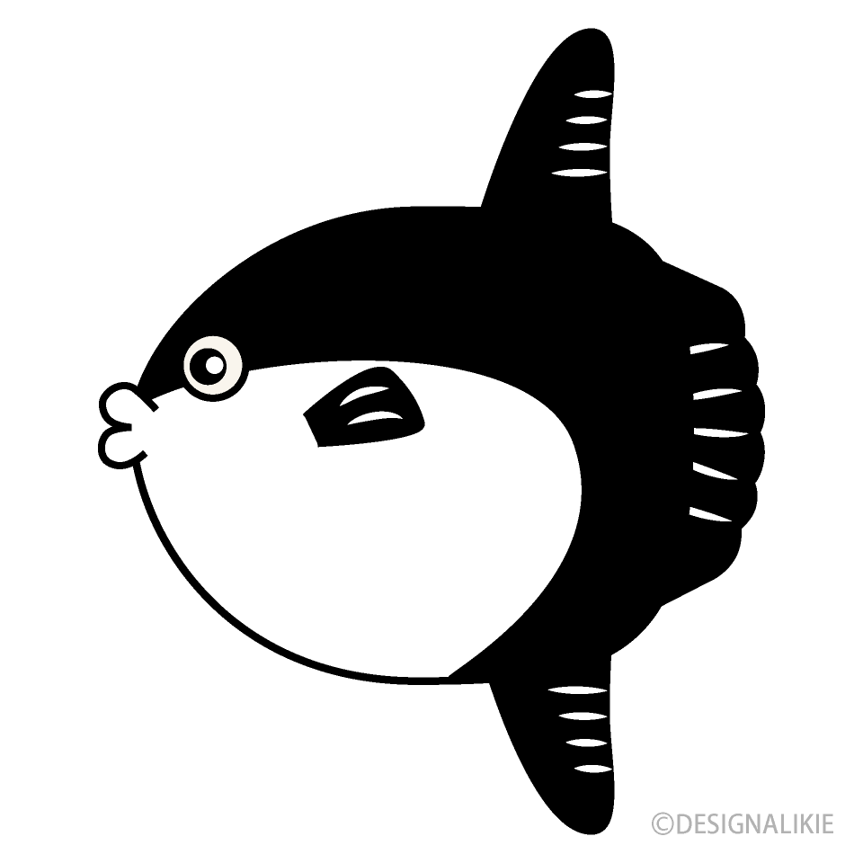 白黒マンボウ