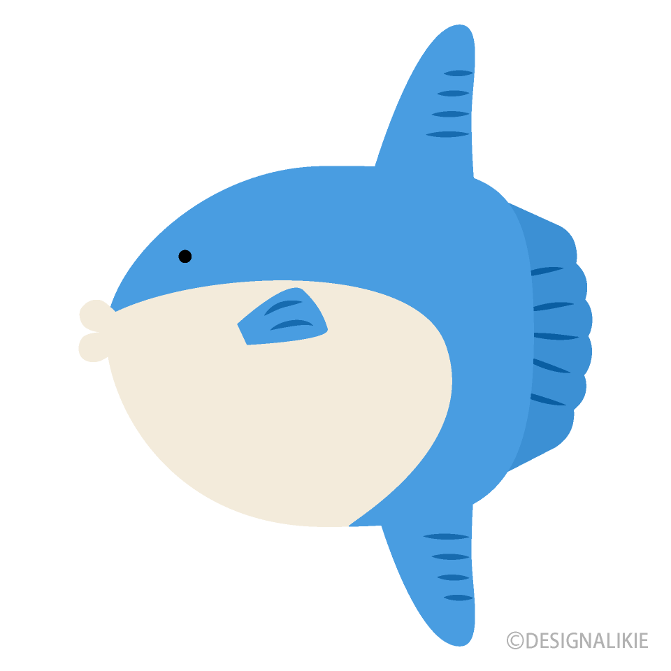 可愛いマンボウ