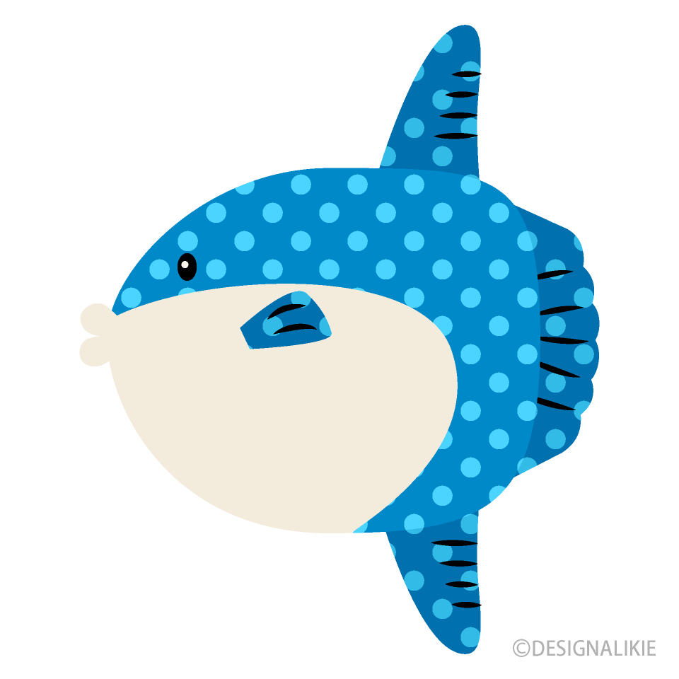 水玉マンボウ