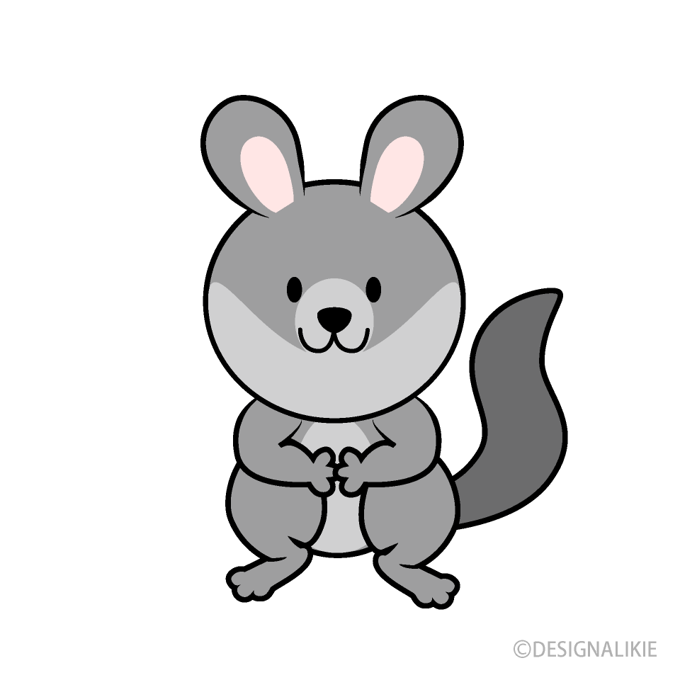 かわいいチンチラ